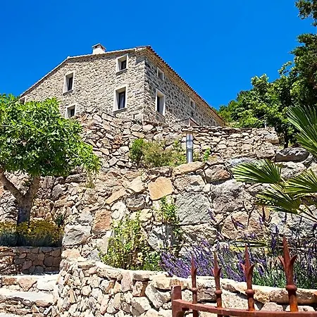 Bed & Breakfast A Vignarella Ventiseri